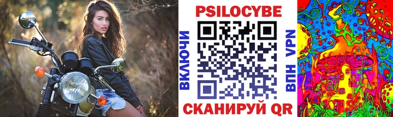 гидра ССЫЛКА  Зарайск  Галлюциногенные грибы Psilocybe 